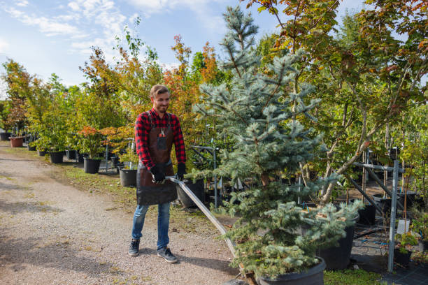 Best Weed Control  in Little Chute, WI